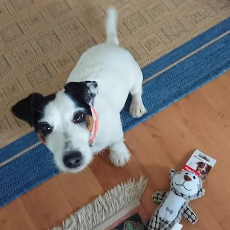 Apartment Capitano *