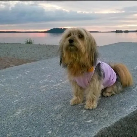 Апартаменты Capitano *