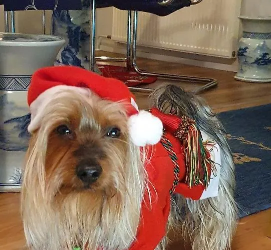 Capitano Апартаменты *