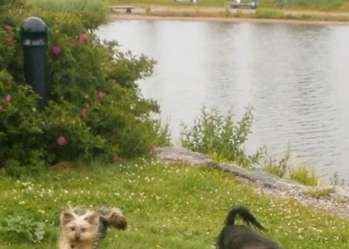 Capitano 아파트 라티